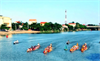 LỆ THỦY: CÁC THÔN NÁO NỨC TẬP LUYỆN SẴN SÀNG CHO LỄ HỘI ĐUA, BƠI THUYỀN TRUYỀN THỐNG TRÊN SÔNG KIẾN GIANG